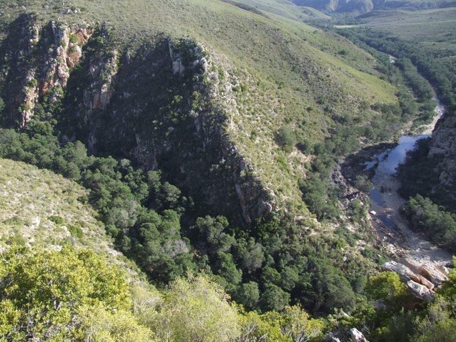 0 Bedroom Property for Sale in Joubertina Eastern Cape